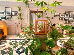 -一尺花园(安和花园店)