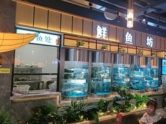 -老船舫·现做活鲜鱼馆(东郊记忆店)