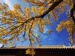 -嘉峪关关城