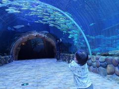 -华夏文旅海洋公园