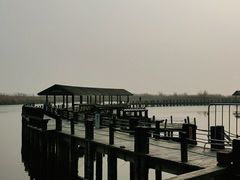 -苏州太湖湖滨国家湿地公园