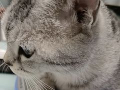 -宠福鑫康馨动物医院·骨科·眼科