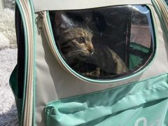 -拜鲁耶动物诊疗中心·宠家动物医院