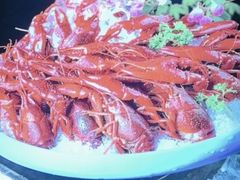 -舞虾小说.涮肉.烧烤(国顺东路店)