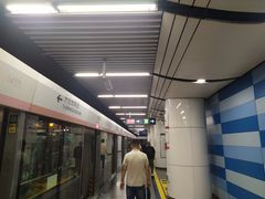 -大望路(地铁站)