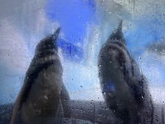 -常州海昌海洋探索馆