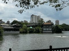 -荔湾湖公园