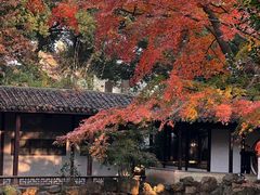 -惠山古镇·寄畅园