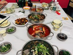 -风鑫铃罗非鱼(道沟店)