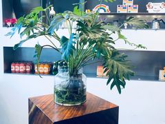 -Seesaw Coffee(上海尚悦湾店)