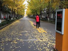 -四川大学(望江校区)