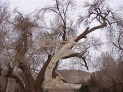 -敦煌莫高窟数字展示中心