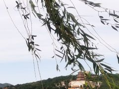 -颐和园