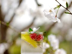 -上海辰山植物园
