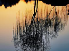 -青枫公园