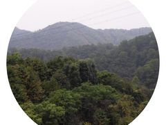 -广州市帽峰山景区