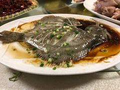 多宝鱼-丁老爷子苏香圆