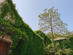 -河坊街景区