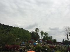 -铁山坪森林公园