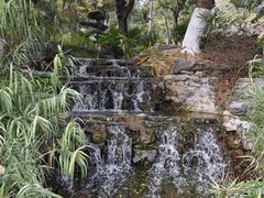 -东莞植物园
