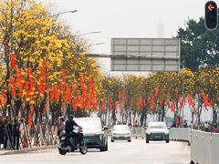 -洲头咀公园