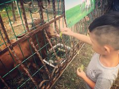 -马陆小张葡萄园农家乐