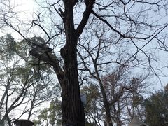 -兴福老面馆(寺路街店)