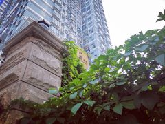 -巴厘龙虾·榜首油焖大虾(洞庭·艺术洋房店)