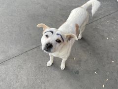 -曼兹集鲜(金桥国际食品城店)