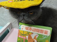 -瑞虹新天地月亮湾