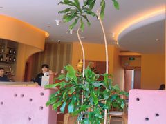 -美泰·Mangothai·清迈云街(天空之城店)