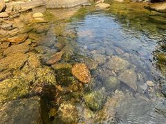-武汉姚家山旅游景区