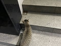 -荣发茶餐厅(龙琛路店)
