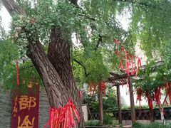 -天朝元辅-徐州民俗博物馆