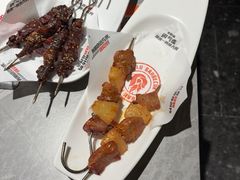 -鼎原力量东北吊炉烧烤(临河街店)