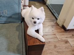 -宠爱国际动物医院·消化内科·心肾内科·ISFM猫友好(望京店)