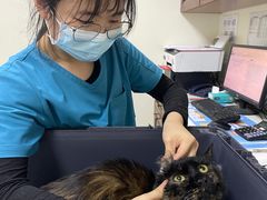 -美联众合动物医院·24h转诊中心