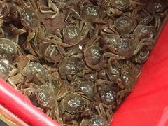 -韩家墅海吉星农产品批发市场