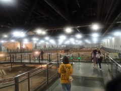 -南越王博物院(王宫展区)