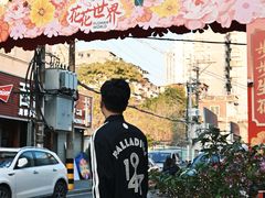 -溪岸路花鸟市场