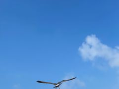 -海驴岛(荣成市)