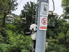 -富斯特索道