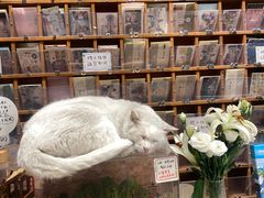 -鸡脚旮旯平江路店