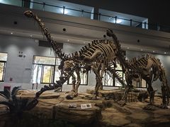 -自贡恐龙博物馆