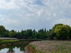 -歌斐颂巧克力小镇