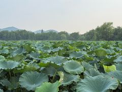 -云龙山