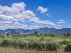 -野鸭湖国家湿地公园