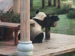 -无锡动物园·太湖欢乐园