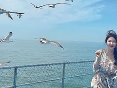 -海驴岛(荣成市)