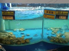 水产区-陶然楼·家宴